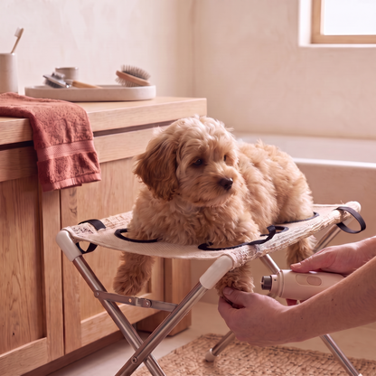 Apricot puppy resting securely in a beige PupCradle grooming hammock with its body supported by the mesh and legs through the openings during nail care